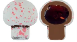 RASPBERRY NECTAR FILLED MUSHROOM DRAGEE 3Kg